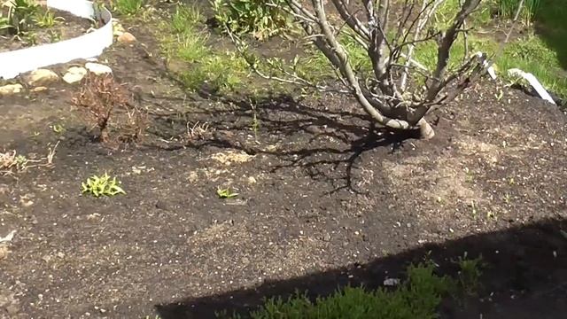 Дачные сервизы,хрусталь,отключили свет,небольшой прокол-купила белье с рук. смотреть онлайн