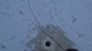 Рыбалка в Ладожских Шхерах. Район лахденпохья