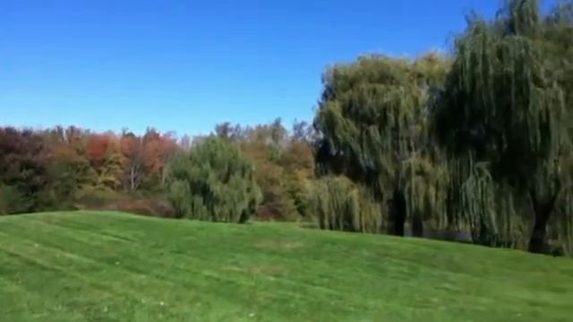 Людмила Зыкина Ивушка .mp4 смотреть онлайн