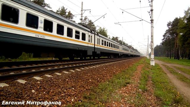 Курская вокзал электричка заря. Эд4мкм-0155. Скорый Пригородный поезд Москва. Электрички Купавна Реутов. Старая Купавна электричка.