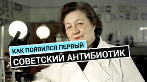 Целебная плесень: как появился советский пенициллин