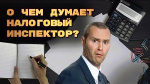 Налоговая проверка: что проверяют инспекторы? Как доказать свою невиновность?