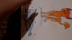 Обзор скетчбука: коты-воители #2