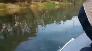 Рыбалка в Трубчевском районе Брянской области. Джиг. Осень, огромная щука