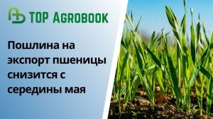 Пошлина на экспорт пшеницы снизится с середины мая. TOP Agrobook: обзор аграрных новостей