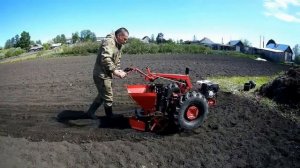 Садим картошку мотоблоком МТЗ с самодельной картофелесажалкой.Не работа-отдых!!!!