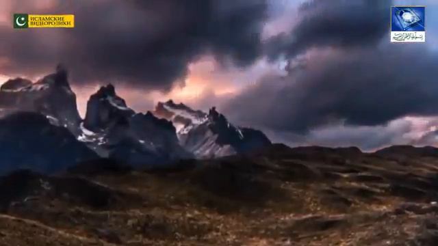 Очень красивый история из жизни пророк МУХАММАД (с.а.в )