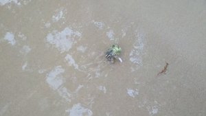 Кругосветное путешествие. Камбоджа. Сиануквиль