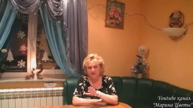 Подготовка купленных семян к посеву смотреть онлайн