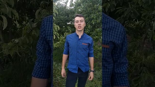 А.С.Пушкин „Я помню чудное мгновенье“ смотреть онлайн