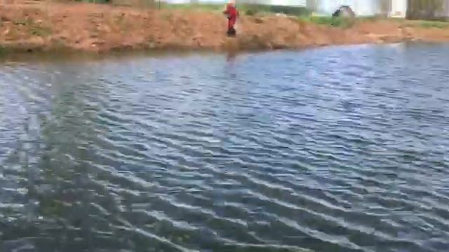 Обстановка на форелевом. Платная рыбалка на форель /Рыбалка в ДУРЫКИНО смотреть онлайн