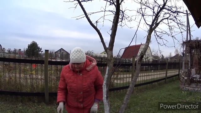 Тахикардия. Помощь в дороге. Наш обед на даче.Vlog.Брест смотреть онлайн