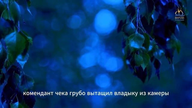 Православный календарь - Седмица 5-я по Пятидесятнице. 06 июля Четверг, 2023 год