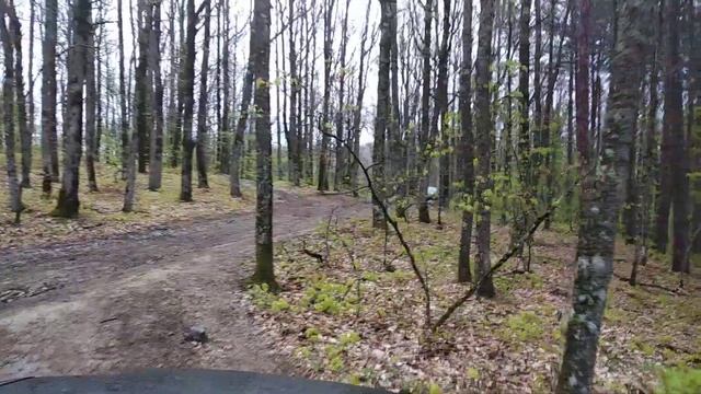 Горячий ключ, заречье, лес смотреть онлайн