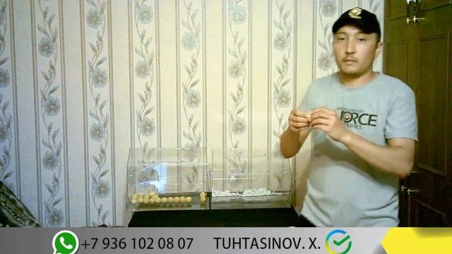 ALMAZ BETON/ BIZ BOSHLADIK 1000$ смотреть онлайн