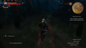 ведьмак 3 помочь Кейре разобраться с делами в Велене как пройти решение