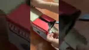 Заказал поршни yanmak а внутри премиальный NURAL