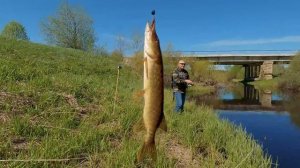 Рыбалка в Псковской области. Спиннинг с берега 2022