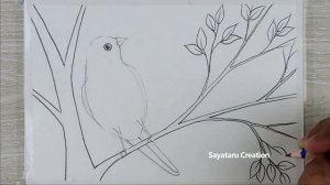 How to Draw Birds Scenery with pencil, Bird Sitting on Tree Drawing