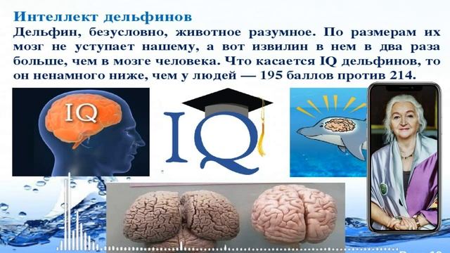 Игры Разума. Кто главный Ты или МОЗГ. Татьяна Черниговская. Функции мозга самообучение.Мозг человек