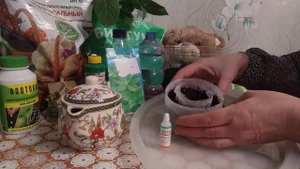 Сеем мяту на рассаду. Мята дома круглый год!