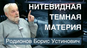 НИТЕВИДНАЯ ТЕМНАЯ МАТЕРИЯ. О НЕЙТРИНО, БОЗОНАХ и ТОРСИОННЫХ ПОЛЯХ. Родионов Борис Устинович.