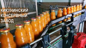 Кикунинский консервный завод. Производство соковой продукции из фруктов и овощей