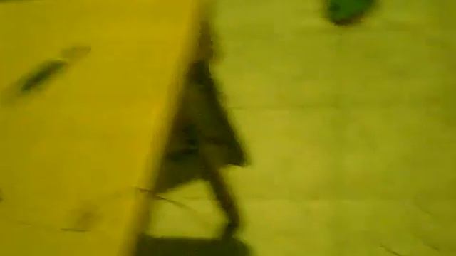 Второй опыт Гуджи