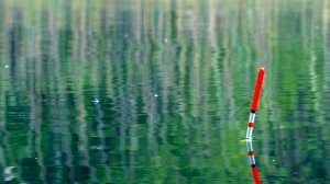 В этом болоте много карася. Карась на поплавок.mp4