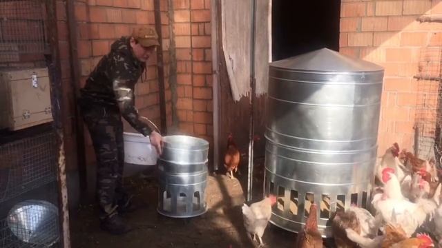 Бункерная кормушка для кур обзор