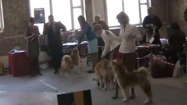 моно акит тольятти 7.12.2014г. беби смотреть онлайн