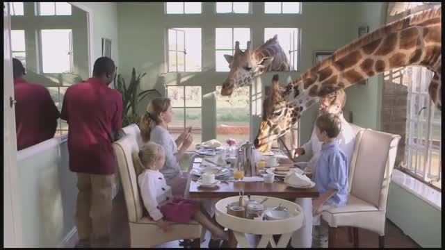 Эксклюзивный бутик-отель Giraffe Manor! Гарантированные номера на Новый год 2024!