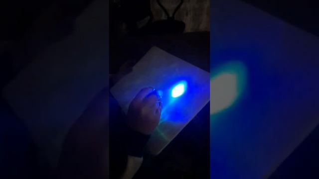 Осенние каникулы. Рисуй светом. Аквамагия