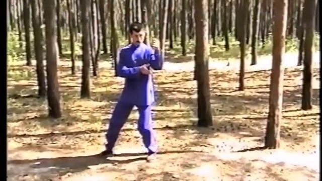 Комплекс тайцзи 24 формы.
