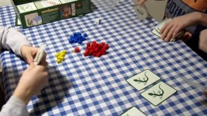 Настольная игра "Эволюция"