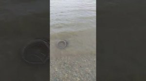 Рыбалка на озере АК гель