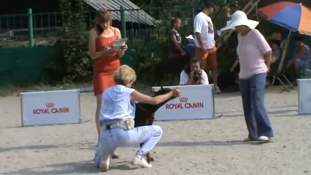 Талия из Зоосферы смотреть онлайн