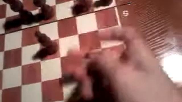 Шахматы ходы смотреть онлайн