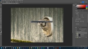 Using AI Generate in Photoshop beta