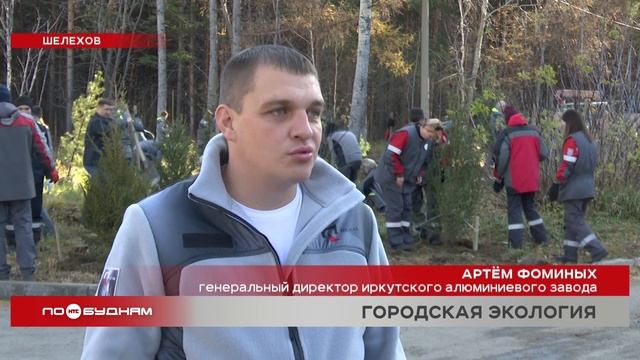 Новая хвойная аллея появилась в Шелехове