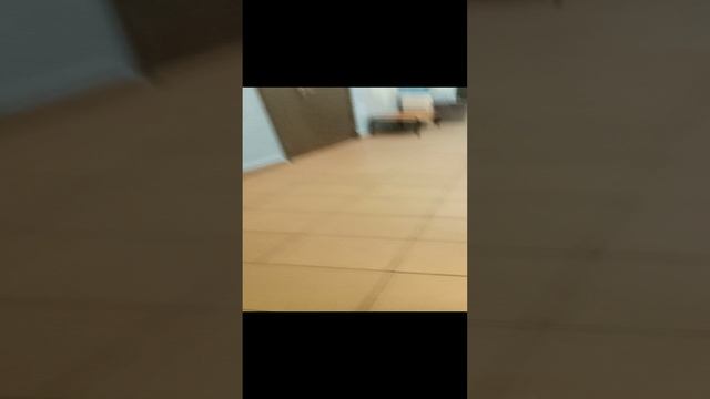 обзорчик