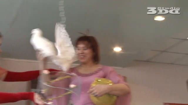 Танец голубей на свадьбе (HD) смотреть онлайн