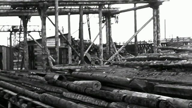 1970 год. ХМАО. Советский район. Советский леспромхоз