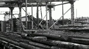 1970 год. ХМАО. Советский район. Советский леспромхоз