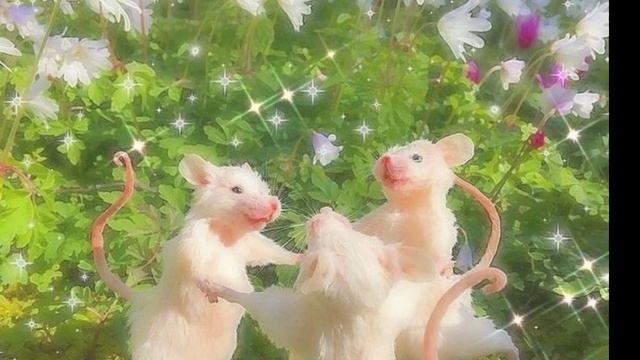 СИЛЬНАЯ ИСЦЕЛЯЮЩАЯ МЕДИТАЦИЯ длядуши и тела • ПЕРЕЗАГРУЗКА
