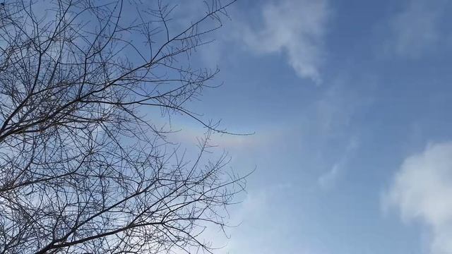 Нефритовая свадьба Власовы смотреть онлайн