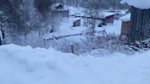 Как живет далекая деревня на Русском Севере? Прогулка по уютной тихой деревне на берегу Белого моря