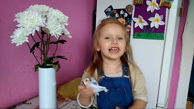 Вайн. Наука от Стеши, как должна смеяться девочка. Учитесь, женщины) смотреть онлайн