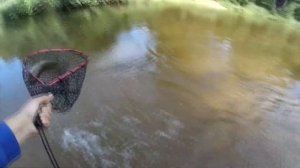 Ловля голавля на малой реке| Волкер сделал рыбалку| Побил свой рекорд