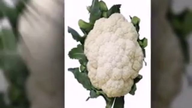 семена овощей и цветов смотреть онлайн